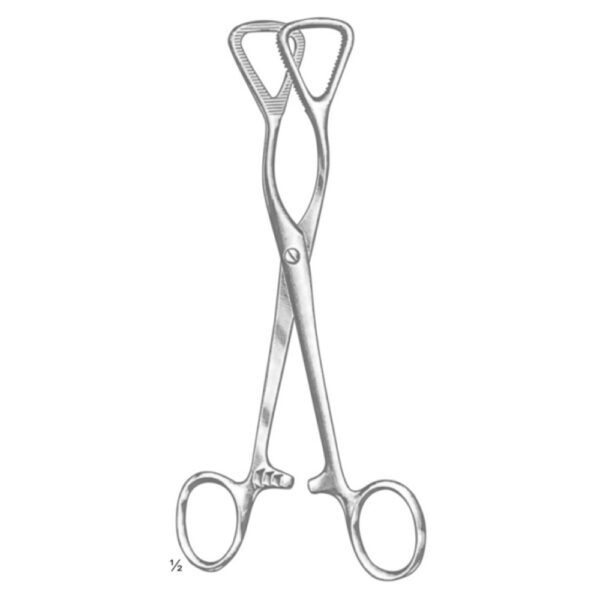 GUY MOUTH GAGS AND TONGUE HOLDING FORCEPS