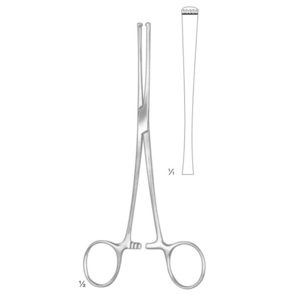ALLIS TISSUE AND ORGEN HOLDING FORCEPS