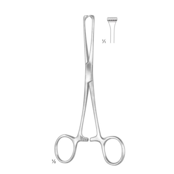 ALLIS BABY TISSUE AND ORGEN HOLODING FORCEPS