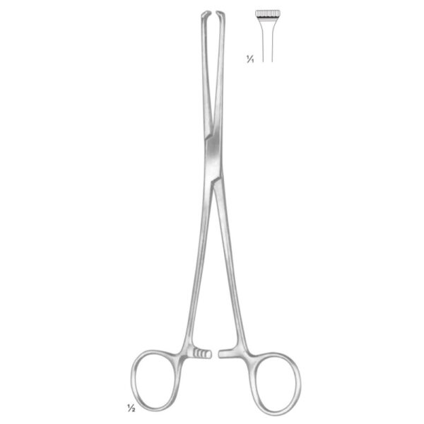 ALLIS ADAIR TISSUE AND ORGEN HOLODING FORCEPS