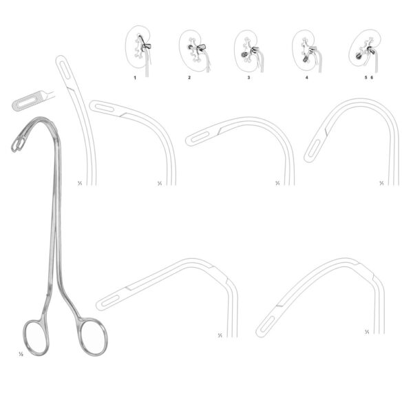 BAKES KIDNEY STONE PROBES GALL DUCT DILATORS