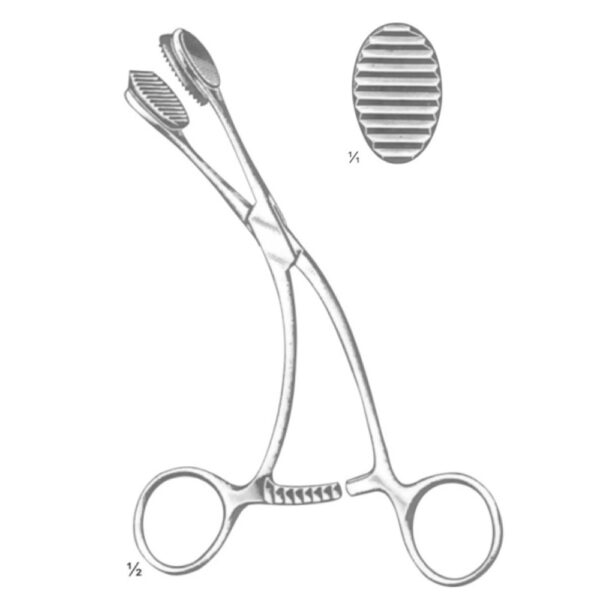 YOUNG MOUTH GAGS AND TONGUE HOLDING FORCEPS